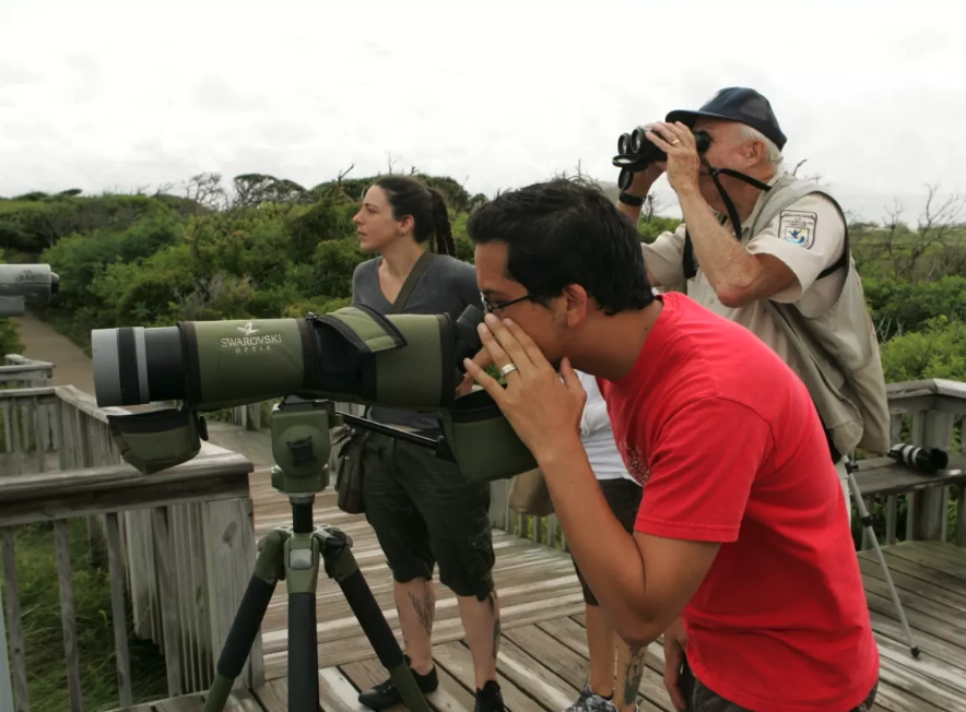 Pea Island Bird Walk Event